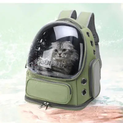 SAC A DOS - Pour Chat ou Petit Chien vert fermé chat intérieur posé sur sol