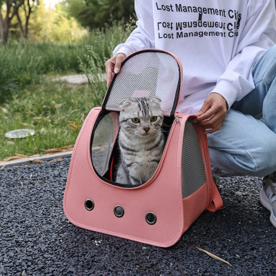 SAC A DOS CHAT  Ventilé Confort rose ouvert avec chat intérieur posé sur chemin côté jeune fille