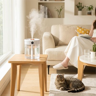 Humidificateur d air​ posé sur table basse près de la baie vitrée