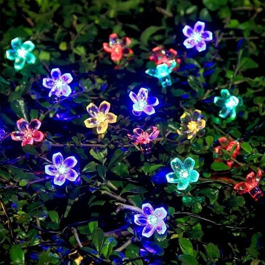 guirlande solaire extérieur illumination féerique lumières multiples dans jardin