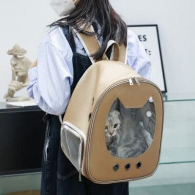 Sac a dos chat beige avec chat intérieur porté sur le dos par jeune femme