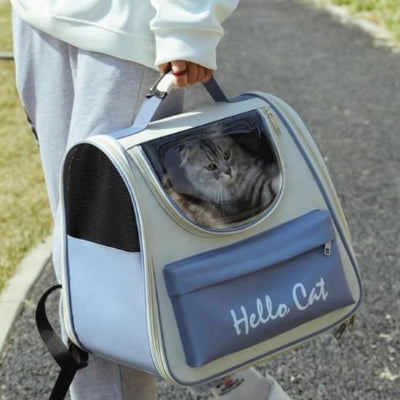 sac a dos chat bleu porté par pognée