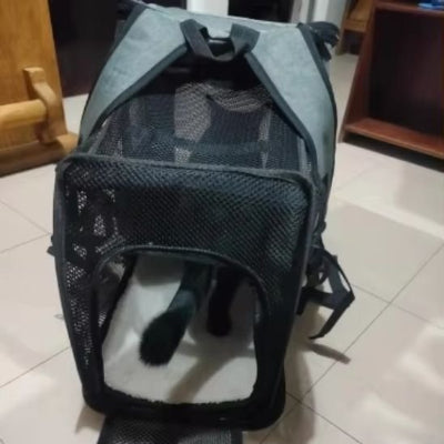 sac a dos chat fermé chat intérieur