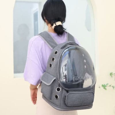 sac a dos chat gris porté sur dos jeune fille debout 