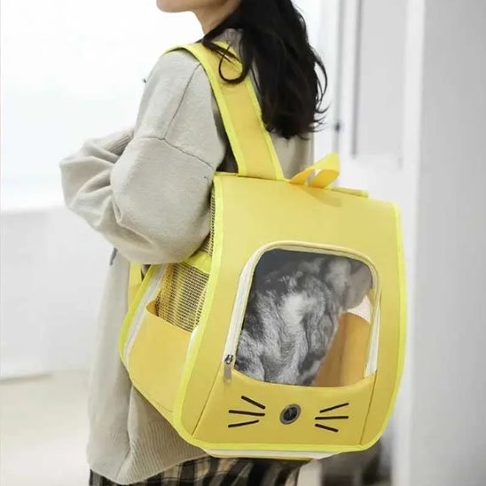 Sac à dos transport Chat jaune porté sur dos par jeune femme