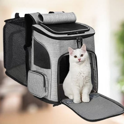 sac a dos chat ouvert chat devant entrée