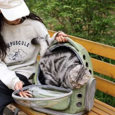 sac a dos chat ouvert posé sur banc côté jeune fille assise
