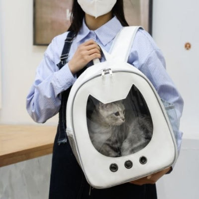 Sac a dos chat portant chat devant par jeune femme