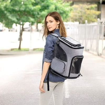 sac a dos chat porté sur dos jeune femme marchant sur chemin