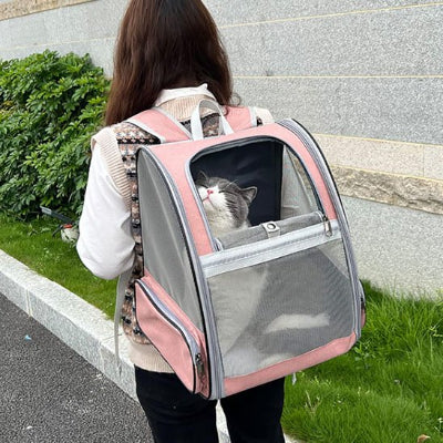 Sac a dos Chat porté sur le dos jeune femme assise