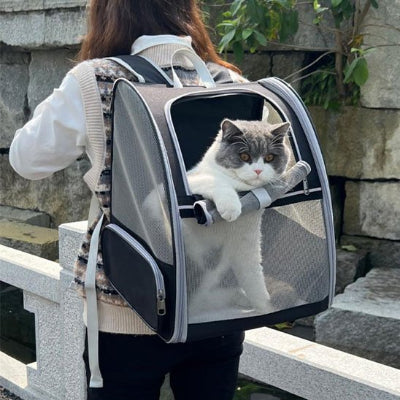 Sac a dos Chat porté sur le dos par jeune femme