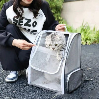 Sac a dos Chat posé à côté jeune femme