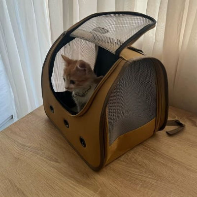 sac a dos chat posé sur le sol