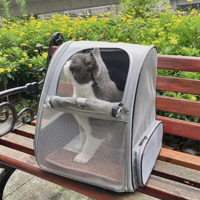 Sac a dos Chat posé sur un banc