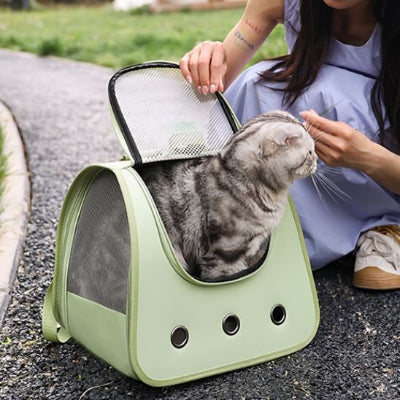 sac a dos chat vert avec chat 