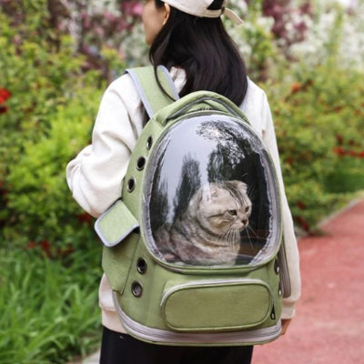 sac a dos chat vert porté sur dos jeune fille marchant sur trottoir