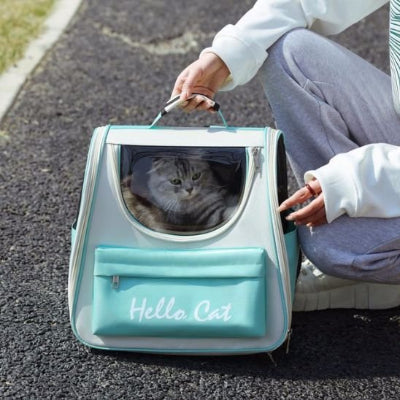 sac a dos chat vert posé sur pelouse côté jeune fille