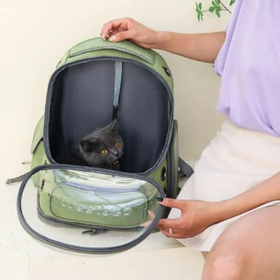 sac a dos chat vert posé sur table ouvert devant côté jeune fille